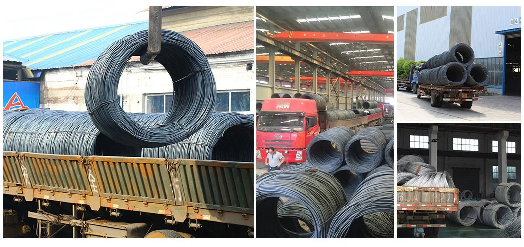 Cold Rolled Hot Rolled Steel Wire Rod in Coils 5.5mm 6.5mm Q195 SAE1006 SAE1008 Low Carbon Steel Ms Wire Rod ASTM GB JIS DIN AISI BS Factory Price Fast Delivery