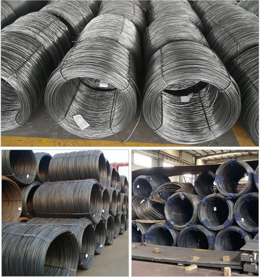 Low Carbon SAE 1006/SAE1008 Cold Heading Steel Wire Rod for Cold Drawn Wire, Nails Wire 4 Gauge Wire Rod 10b21 High Carbon Alloy Plain Wire Rod in Coil