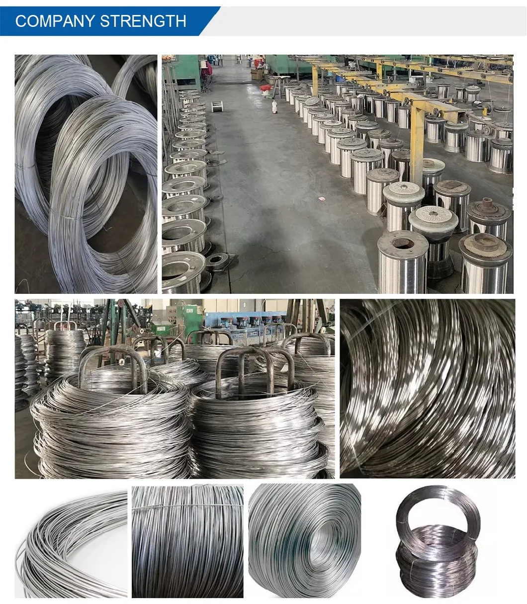 Stainless Steel Flat Wire Low-Cost Shaped Wire Steel Profile Factory Sales Champion AISI 304 316 410 430 Stainless Steel Wire 0.09mm 0.13mm-5.5mm